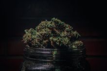 What’s the Difference Between THC and THCa?