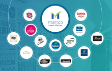 Marico Share Price Could Decline after Sell Call by BOB Capital Markets