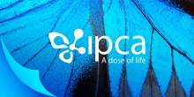 IPCA Laboratories Share Price in Focus as Motilal Oswal Suggests BUY Call with 18% Upside Potential