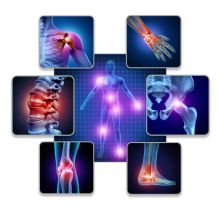 What Are the Key Differences Between Muscle Stiffness and Joint Pain?