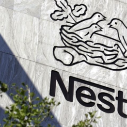 Nestle India Share Price Jumps 3 Percent as Markets Cheer US FED Rate Cut