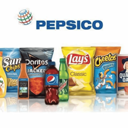 Varun Beverages Share Price Target at Rs 524: NDA Securities