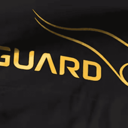 V-Guard Industries Share Price Target at Rs 440: ICICI Securities
