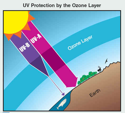Wear blue or red for protection from ultraviolet rays