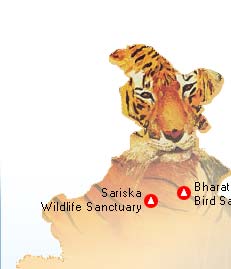 Fluctuation in wildlife population natural phenomenon, says Central Govt.