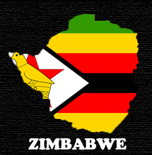 Zimbabwe parliament passes power-share constitutional amendment 