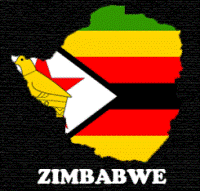 Zimbabwe rights groups' vow protests against constitutionZimbabwe rights groups' vow protests against constitution